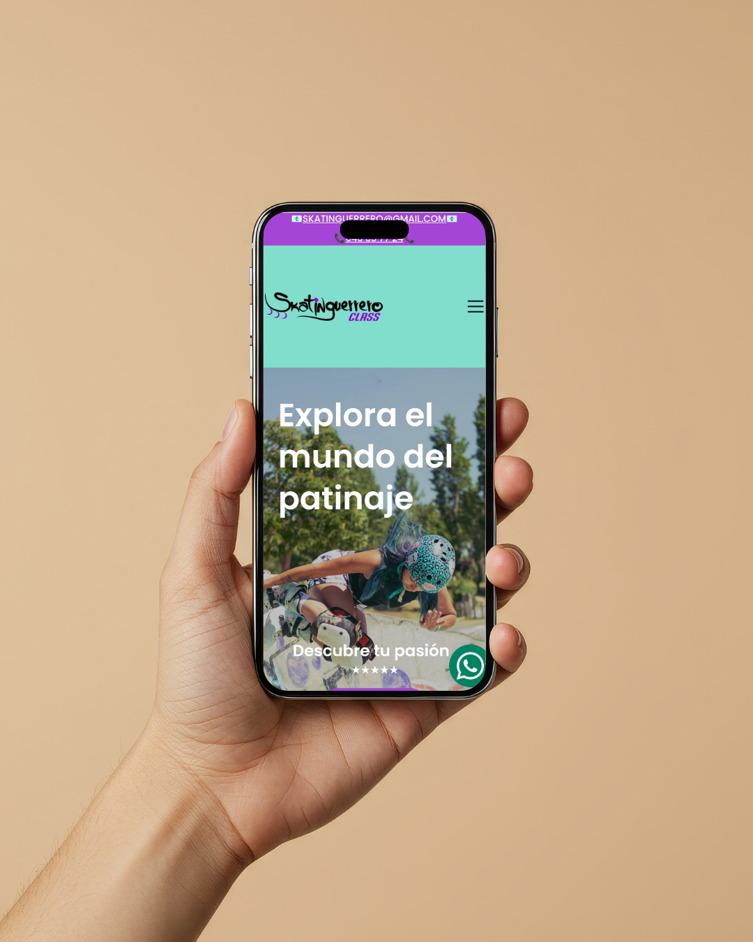 Proyecto web Skatinguerrero
